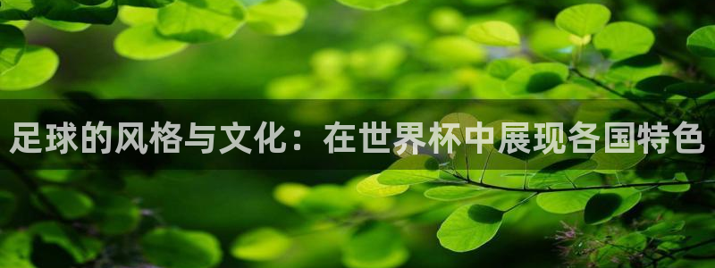 2026世界杯亚洲区预选赛赛程:足球的风格与文化:在世界杯中展现各国特色