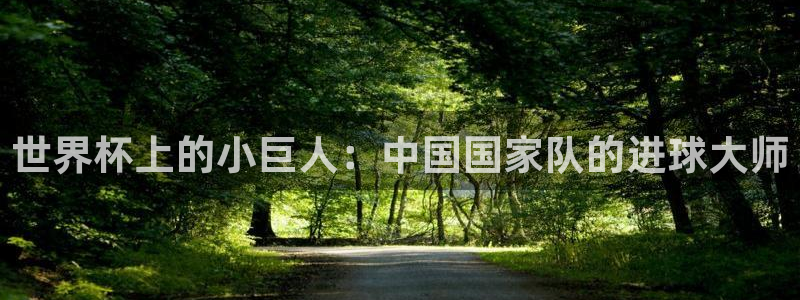 2026世界杯德国队阵容:世界杯上的小巨人:中国国家队的进球大师