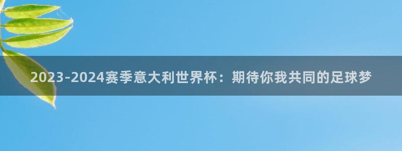 女足世界杯赛程:2023-2024赛季意大利世界杯:期待你我共同的足球梦