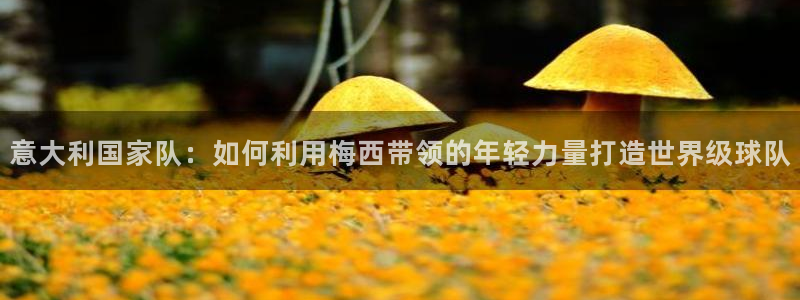 世界杯直播高清:意大利国家队:如何利用梅西带领的年轻力量打造世界级球队