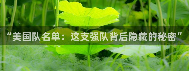 世界杯预选赛:“美国队名单:这支强队背后隐藏的秘密”