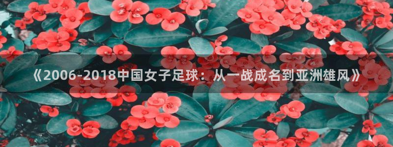 世界杯直播免费观看:《2006-2018中国女子足球:从一战成名到亚洲雄风》