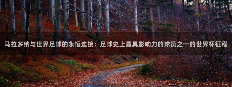 世界杯预选赛亚洲区积分榜:马拉多纳与世界足球的永恒连接:足球史上最具影响力的球员之一的世界杯征程